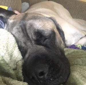 Meet your Posher, Isaac